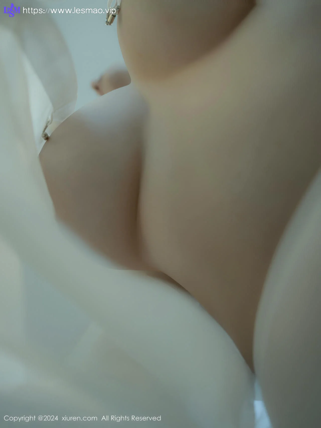XiuRen 秀人 No.9667 袁圆 白衬衫下的美乳 - 33