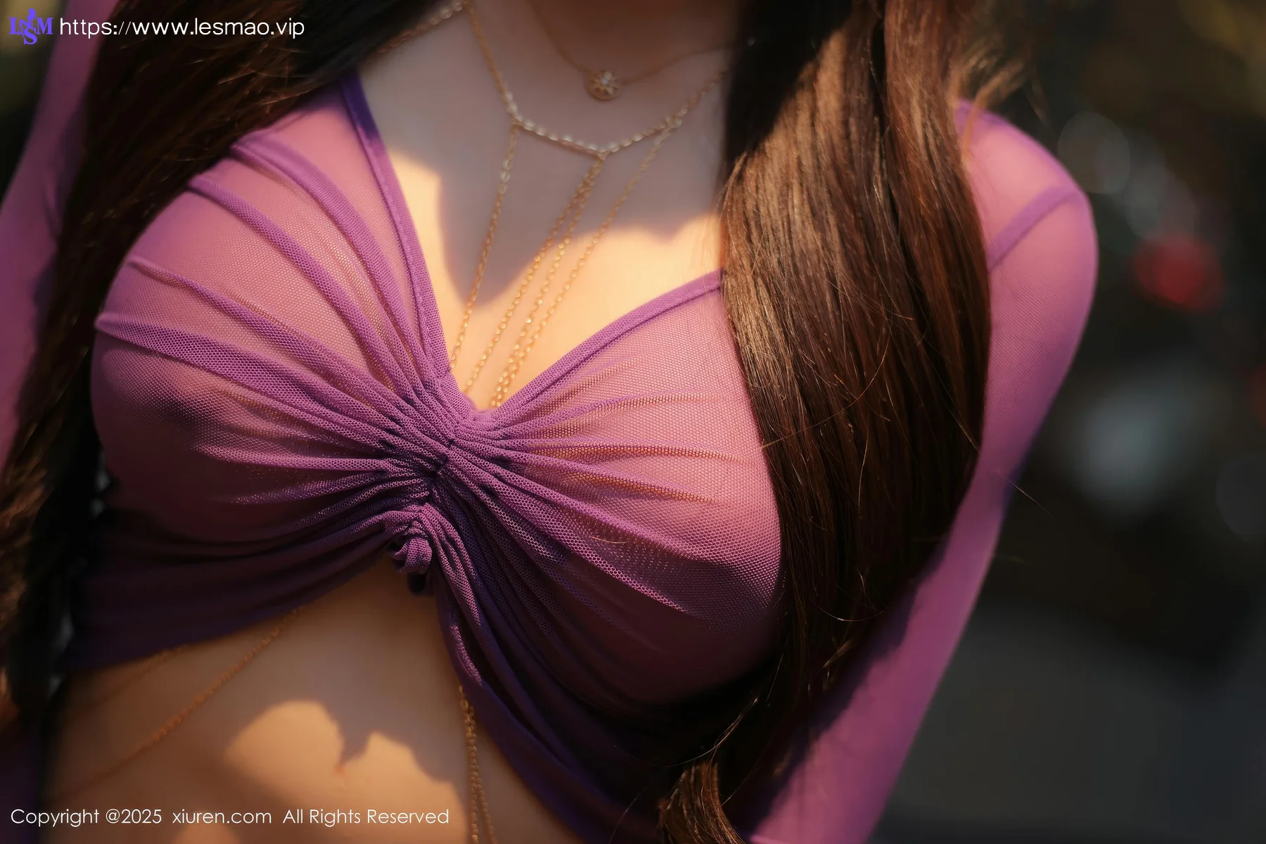 XiuRen 秀人 No.9876 媃柔rourou 紫色诱惑私房美女 - 26