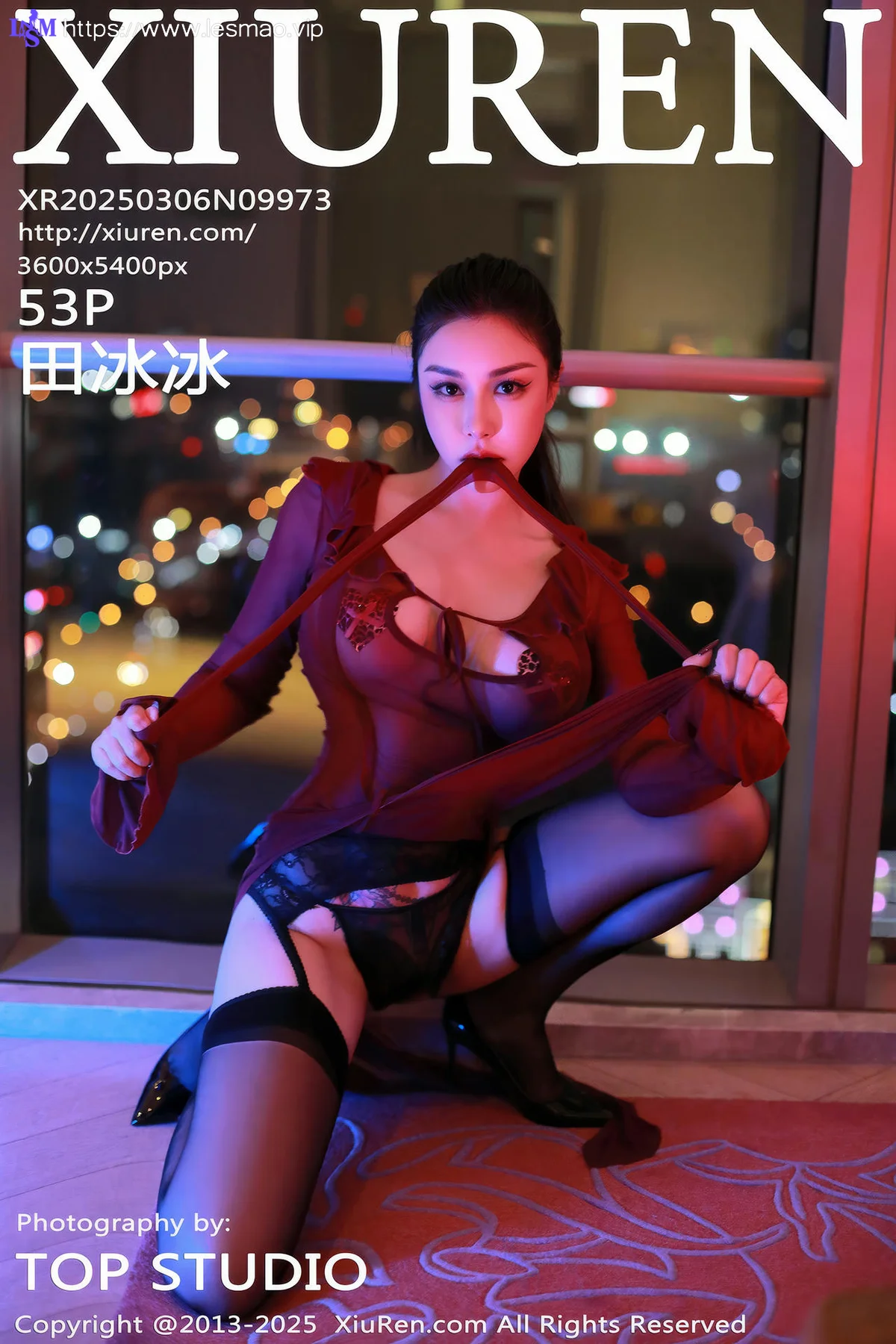 XiuRen 秀人 No.9973 田冰冰 御姐乳贴私房 - 54