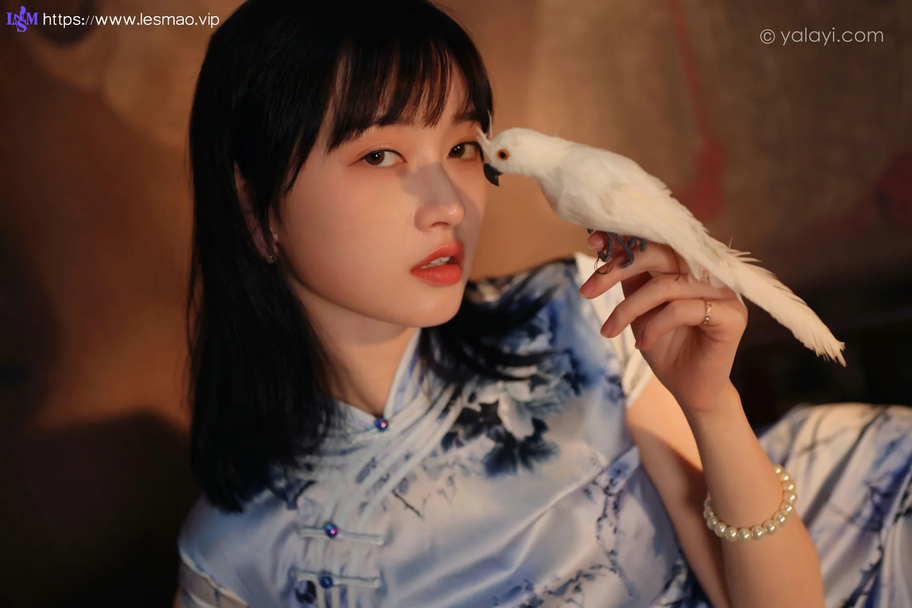 YALAYI 雅拉伊 Vol.883   京京 绝代芳华 - 16