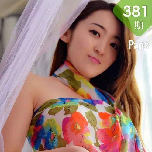 Pans 写真 No.381 紫萱