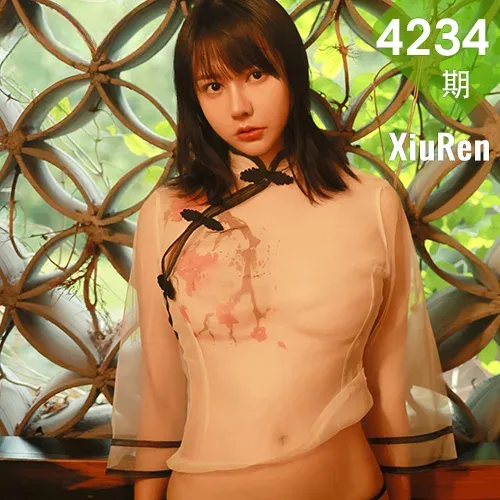 XiuRen 秀人 No.4234 新人模特轻薄半透  韩希蕾 性感写真